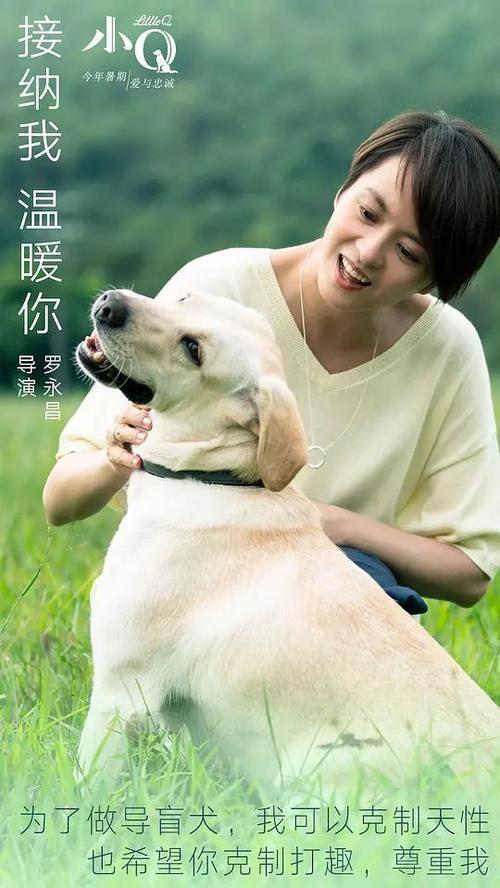 广告艺术学校学位证购买
